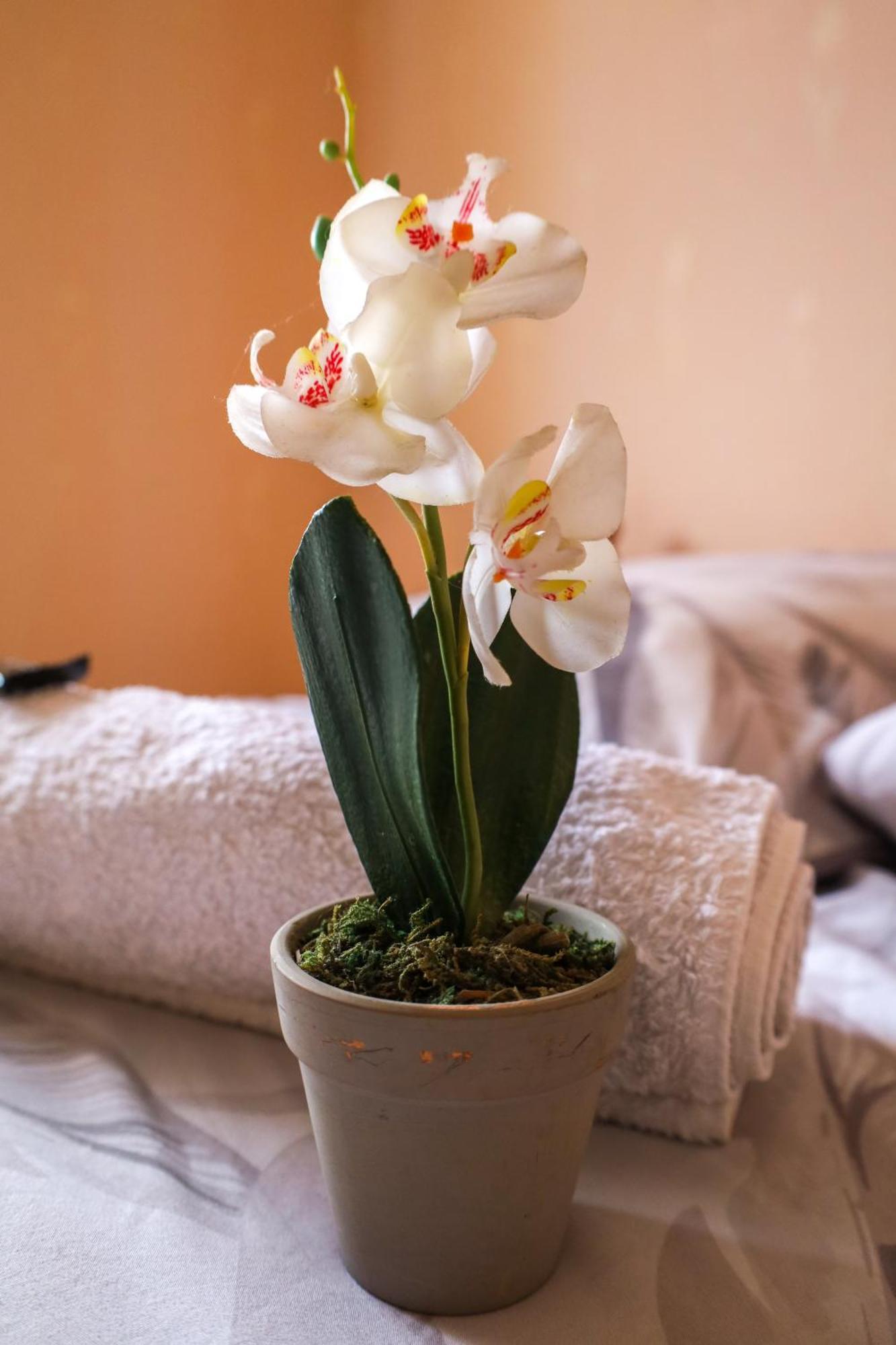 Vintage House Villa Amberieu-en-Bugey Ngoại thất bức ảnh